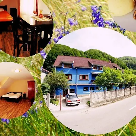Casa Gornicului Guest house Remeti